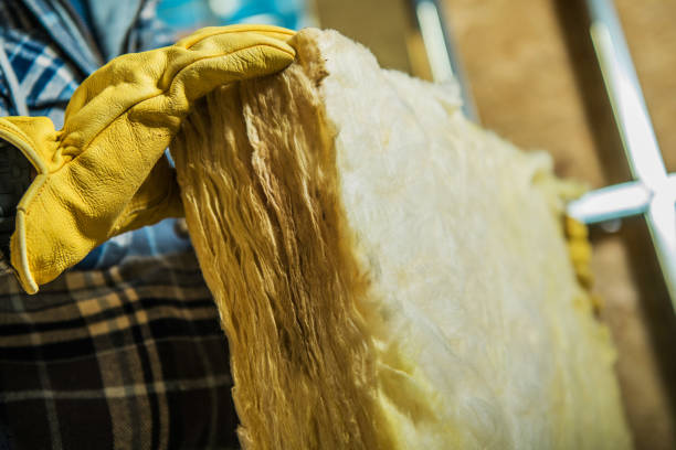 Best Geographic-Specific Insulation Services in Rapids, NY