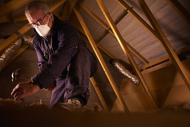 Best DIY Insulation Kits and Guidance in Rapids, NY